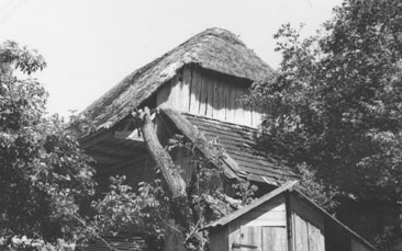 eika image